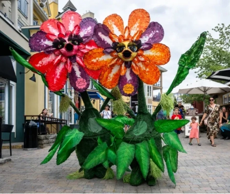 Animation panel htsj2z