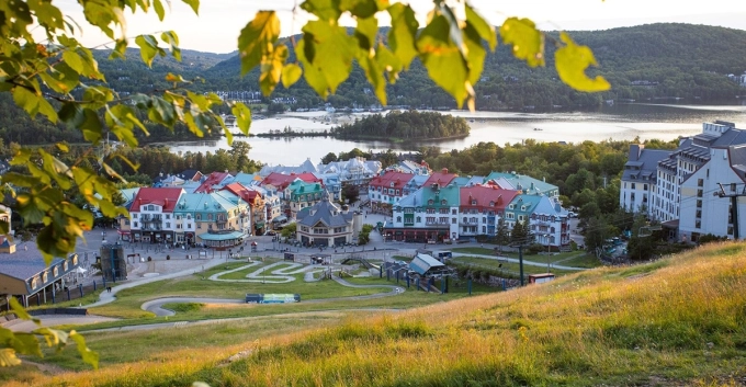 craft\elements\db\ElementQuery